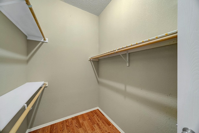 spacious closet with hardwood / wood-style flooring