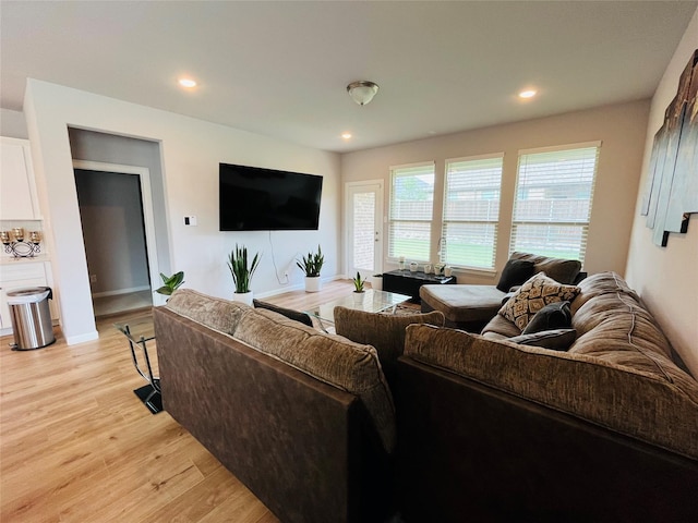 living room with light hardwood / wood-style floors