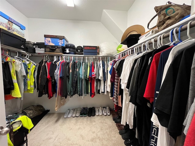 spacious closet with carpet