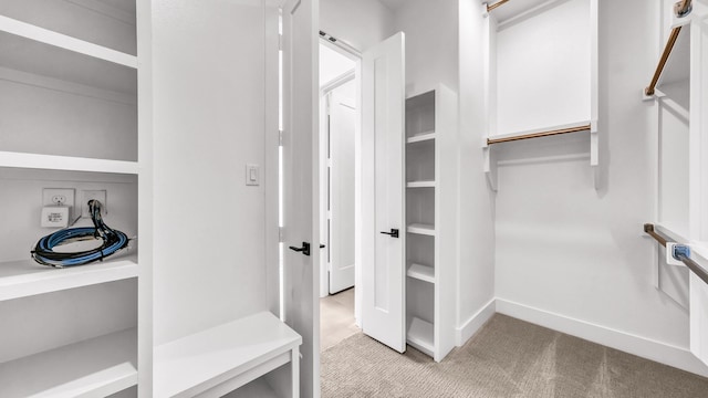 spacious closet with light carpet