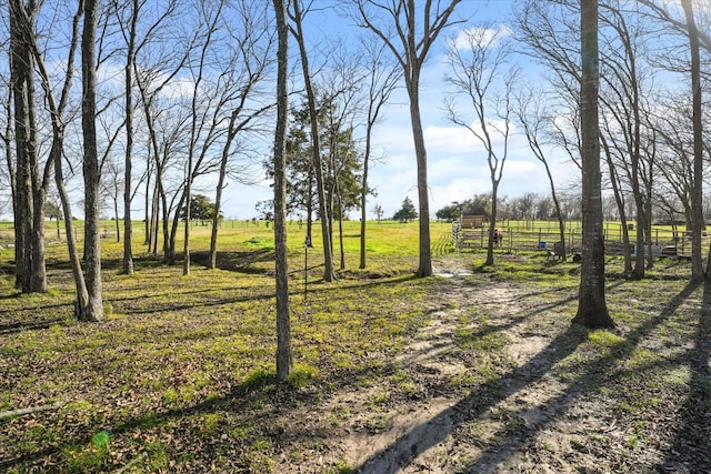 view of yard featuring a rural view