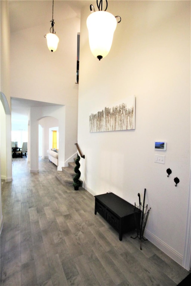 entryway featuring dark hardwood / wood-style flooring and a towering ceiling