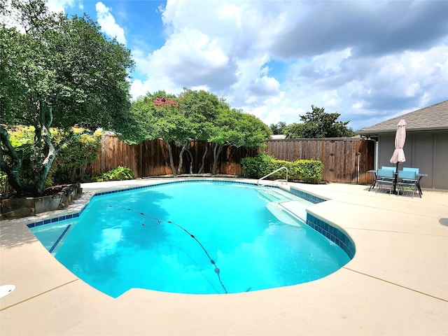 view of pool featuring a patio