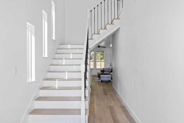 staircase with ceiling fan and wood-type flooring