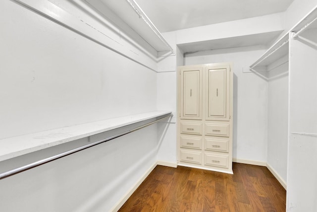 walk in closet with dark hardwood / wood-style floors