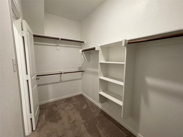 walk in closet with dark carpet