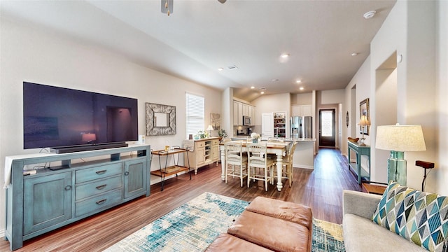 living room featuring dark hardwood / wood-style flooring