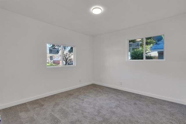 unfurnished room with plenty of natural light, carpet, and baseboards