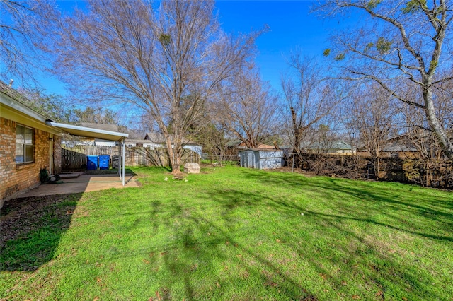 view of yard with a patio area and a storage unit