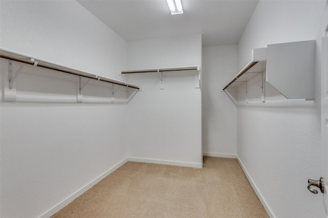 spacious closet featuring light colored carpet