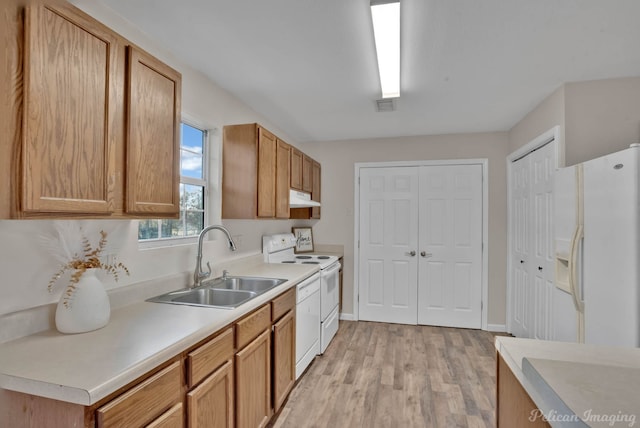 kitchen with sink, white appliances, and light wood-type flooring