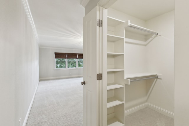 walk in closet with light carpet