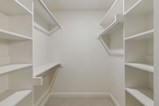 view of spacious closet