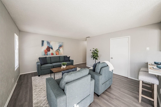 living room featuring wood-type flooring and a textured ceiling