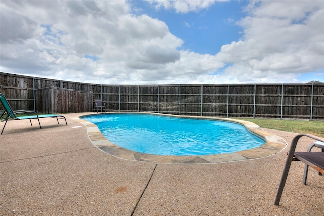 view of pool with a patio