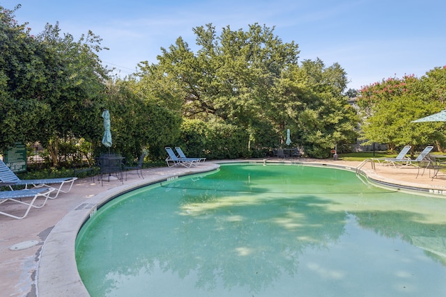 view of pool with a patio