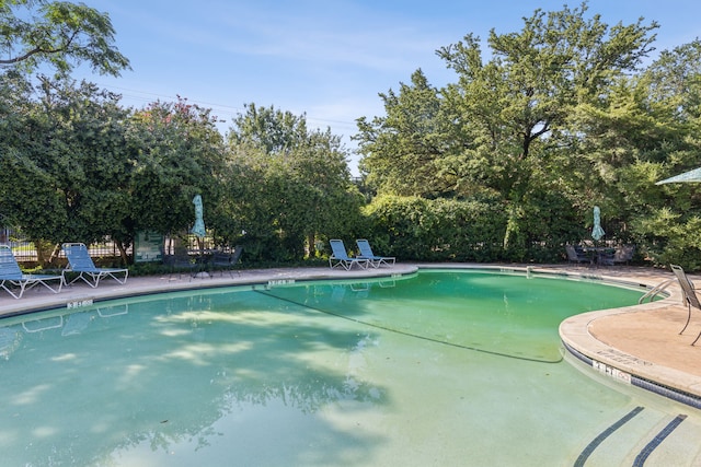 view of swimming pool