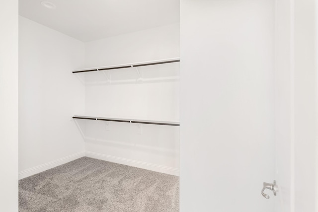 spacious closet featuring light carpet