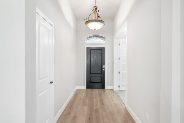 doorway with light wood-type flooring and a high ceiling