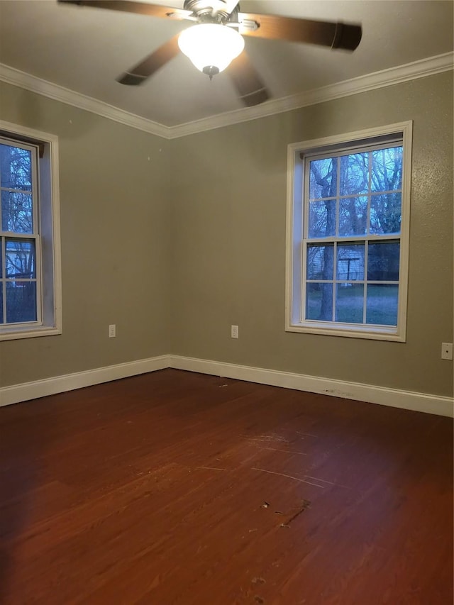 spare room featuring hardwood / wood-style flooring, ceiling fan, and ornamental molding