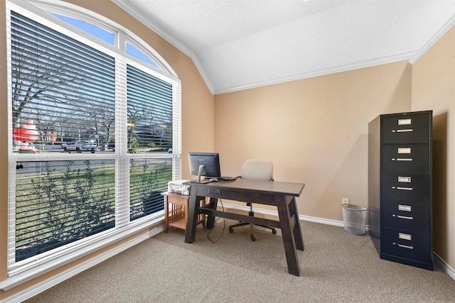 carpeted office space with a healthy amount of sunlight, ornamental molding, and vaulted ceiling