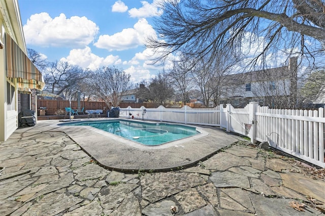 view of pool featuring a patio