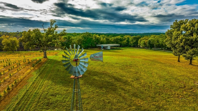 view of yard featuring a rural view