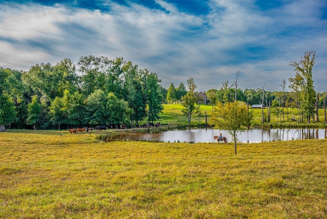 property view of water