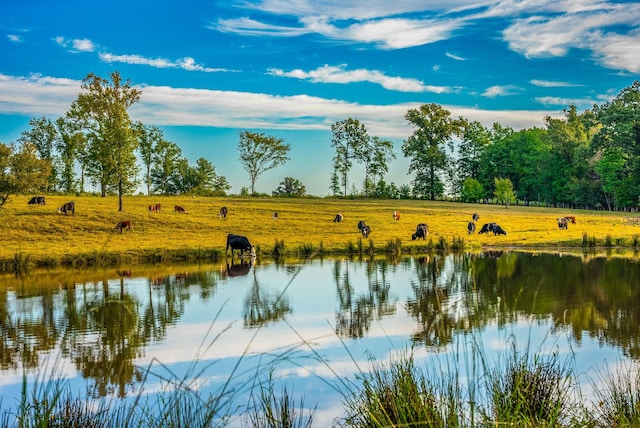 water view with a rural view