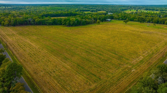 birds eye view of property with a rural view