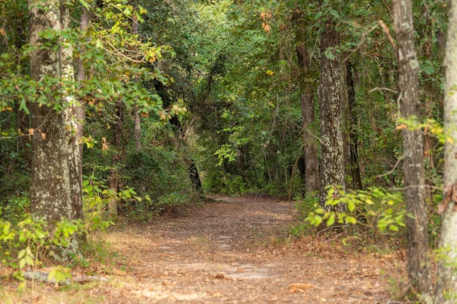 view of nature