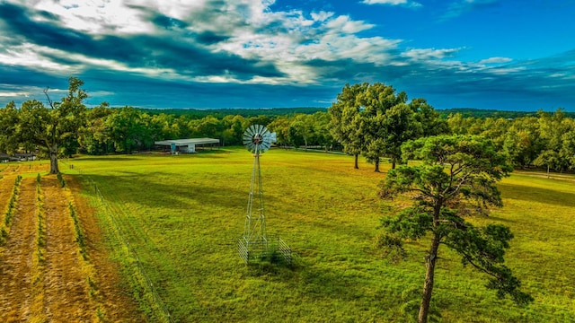 view of community featuring a rural view