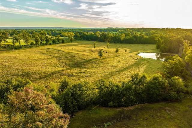 birds eye view of property with a water view and a rural view