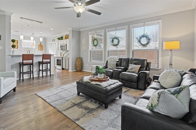 living room featuring ceiling fan, crown molding, and light hardwood / wood-style flooring