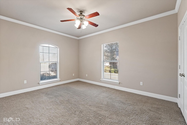 spare room featuring ornamental molding, carpet floors, and ceiling fan