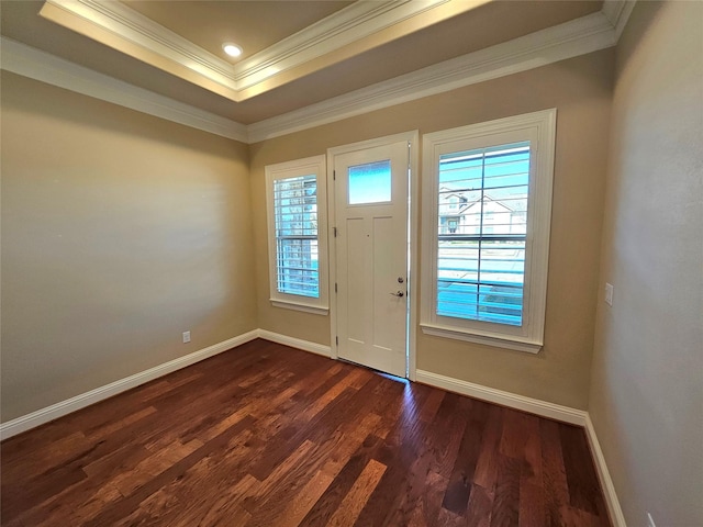 entryway with a tray ceiling, dark wood-type flooring, a wealth of natural light, and ornamental molding