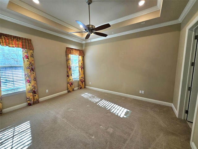 spare room featuring ornamental molding, a raised ceiling, ceiling fan, and carpet