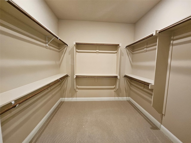 walk in closet featuring carpet floors