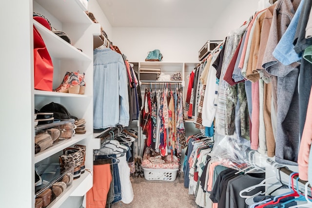 walk in closet featuring carpet flooring