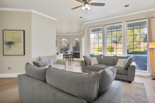 living room with ceiling fan, crown molding, and light hardwood / wood-style floors