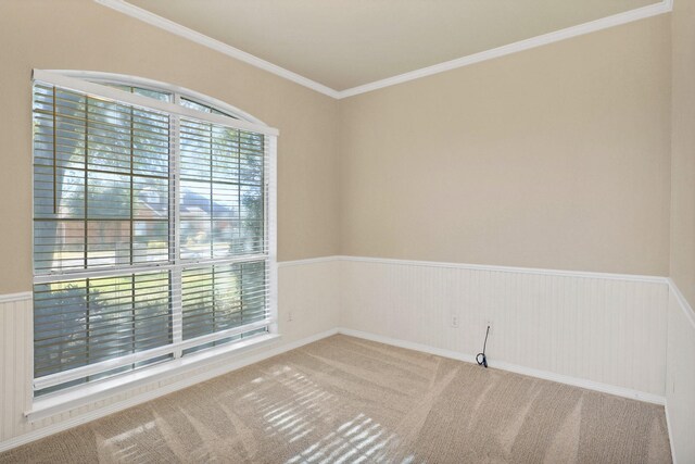 carpeted empty room with a wealth of natural light and crown molding