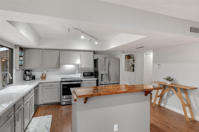 kitchen with wood counters, dark wood-type flooring, sink, a tray ceiling, and stainless steel appliances