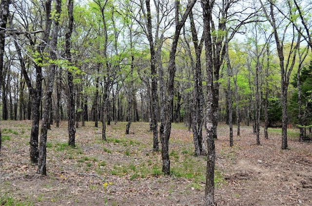 view of landscape