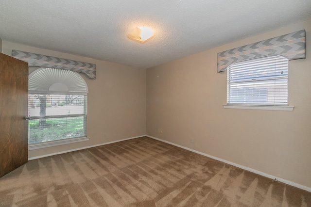 empty room featuring carpet and a textured ceiling