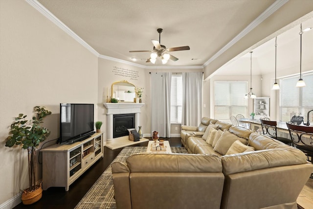 living room featuring hardwood / wood-style floors, ceiling fan, and ornamental molding