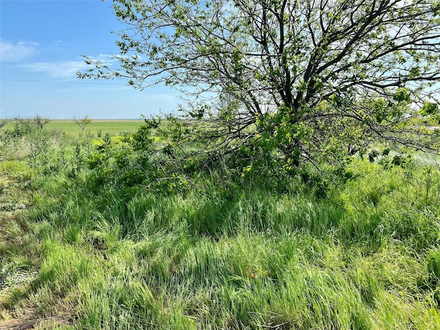 view of landscape