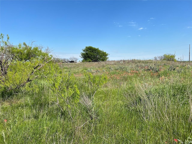 view of nature featuring a rural view