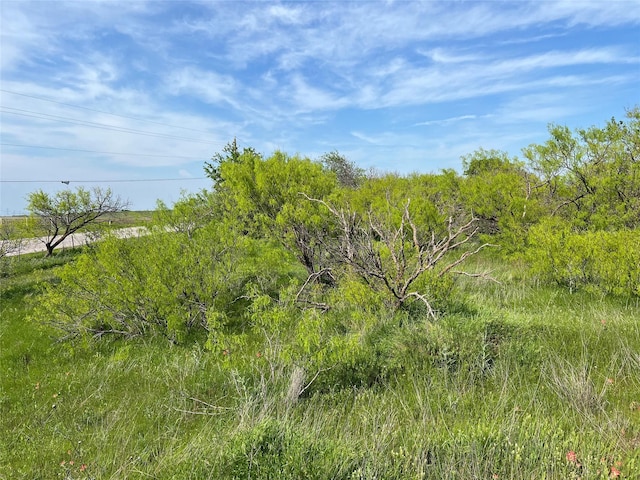 view of landscape