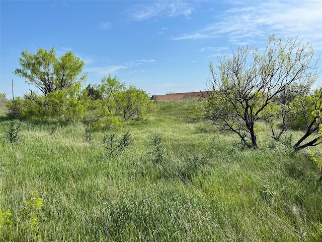 view of nature featuring a rural view