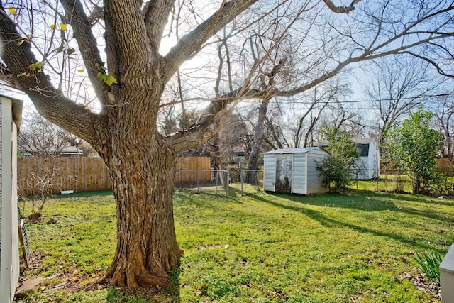 view of yard featuring a storage unit